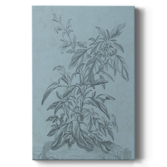 Botanical on Teal III - Canvas Art Print