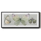 Pretty Insects II - Floater Framed Canvas Print