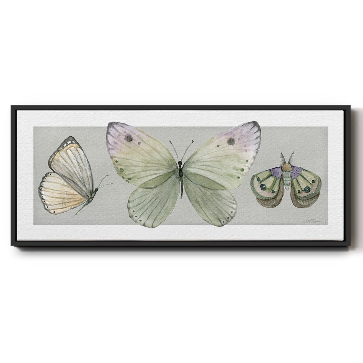 Pretty Insects II - Floater Framed Canvas Print