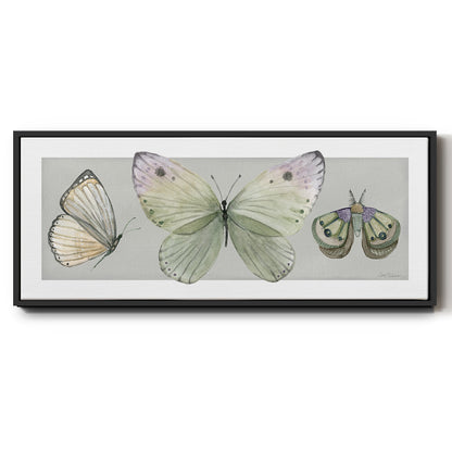 Pretty Insects II - Floater Framed Canvas Print
