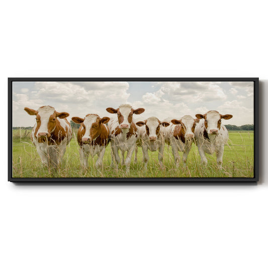 The F Side - Floater Framed Canvas Print