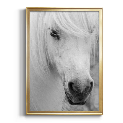 Island Pony I - Modern Framed Canvas Print