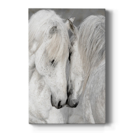 Affection II - Canvas Art Print