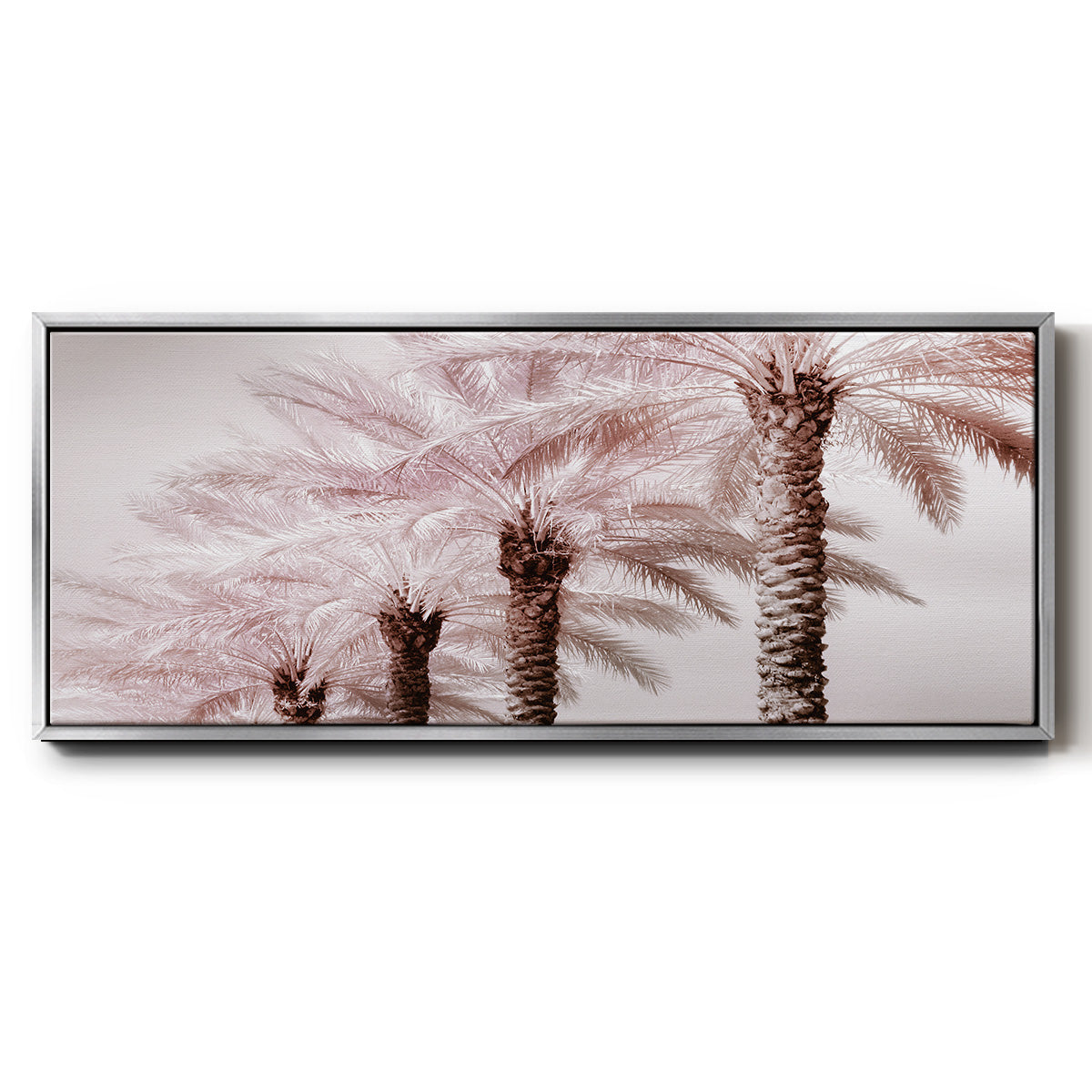 Stately Palms - Floater Framed Canvas Print