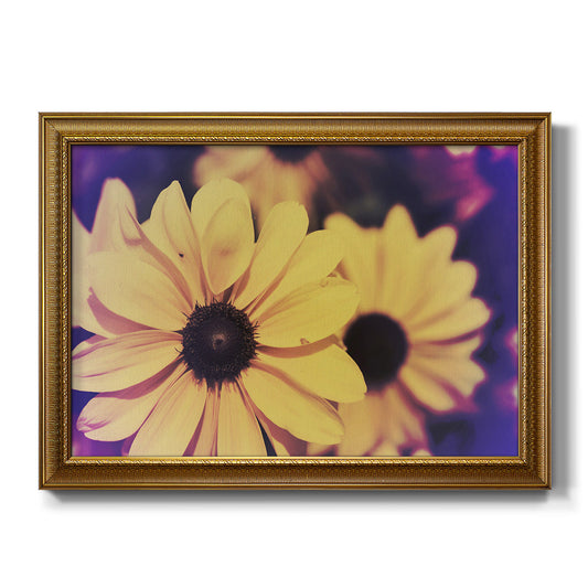 Susans III - Ornate Framed Canvas Print