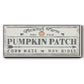 Pumpkin Patch II - Floater Framed Canvas Print