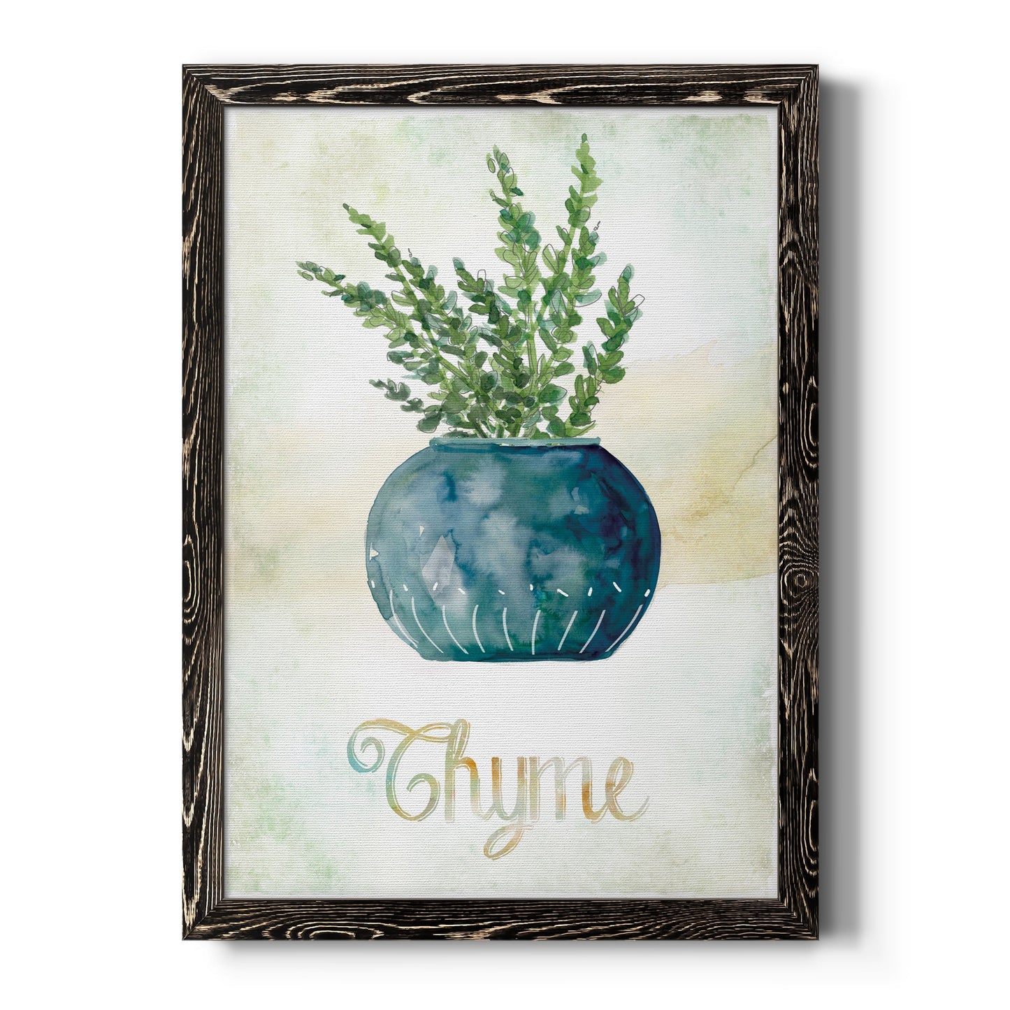 Potted Thyme - Barnwood Framed Canvas Print