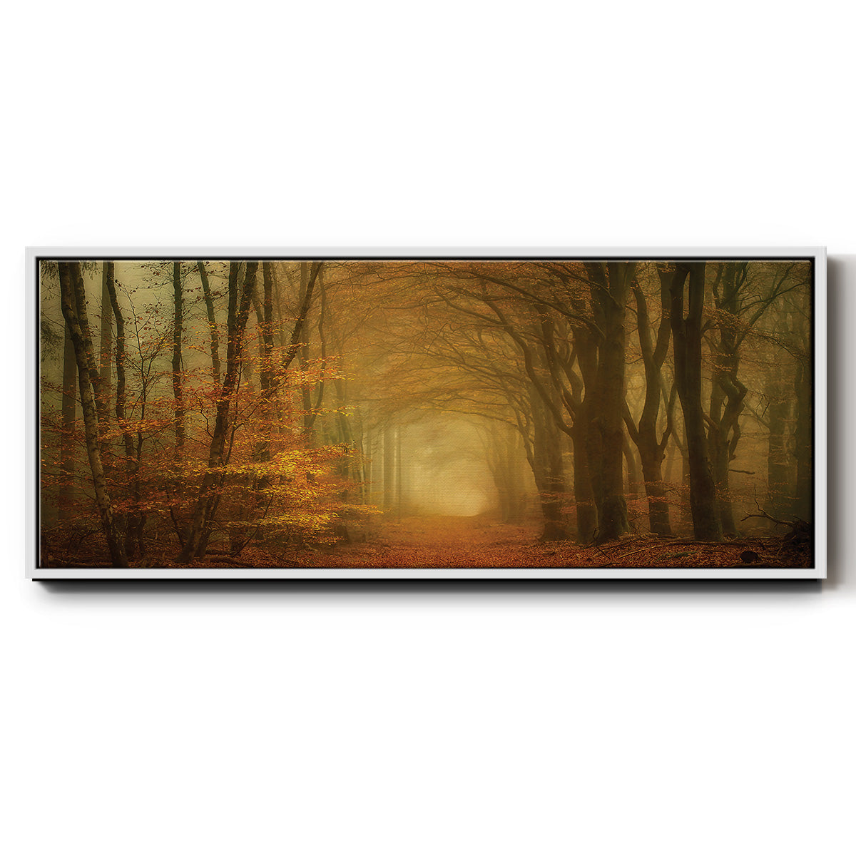 Early Light - Floater Framed Canvas Print