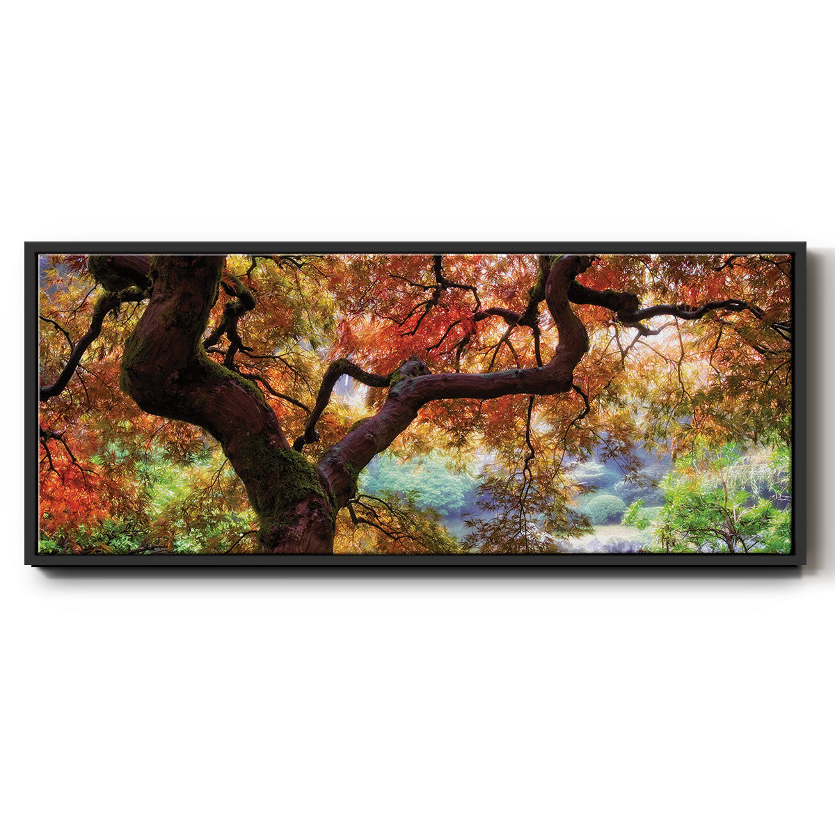 Dreaming of October - Floater Framed Canvas Print