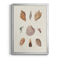 Knorr Shells & Coral VI - Modern Framed Canvas Print