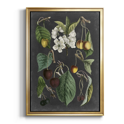 Orchard Varieties II - Modern Framed Canvas Print