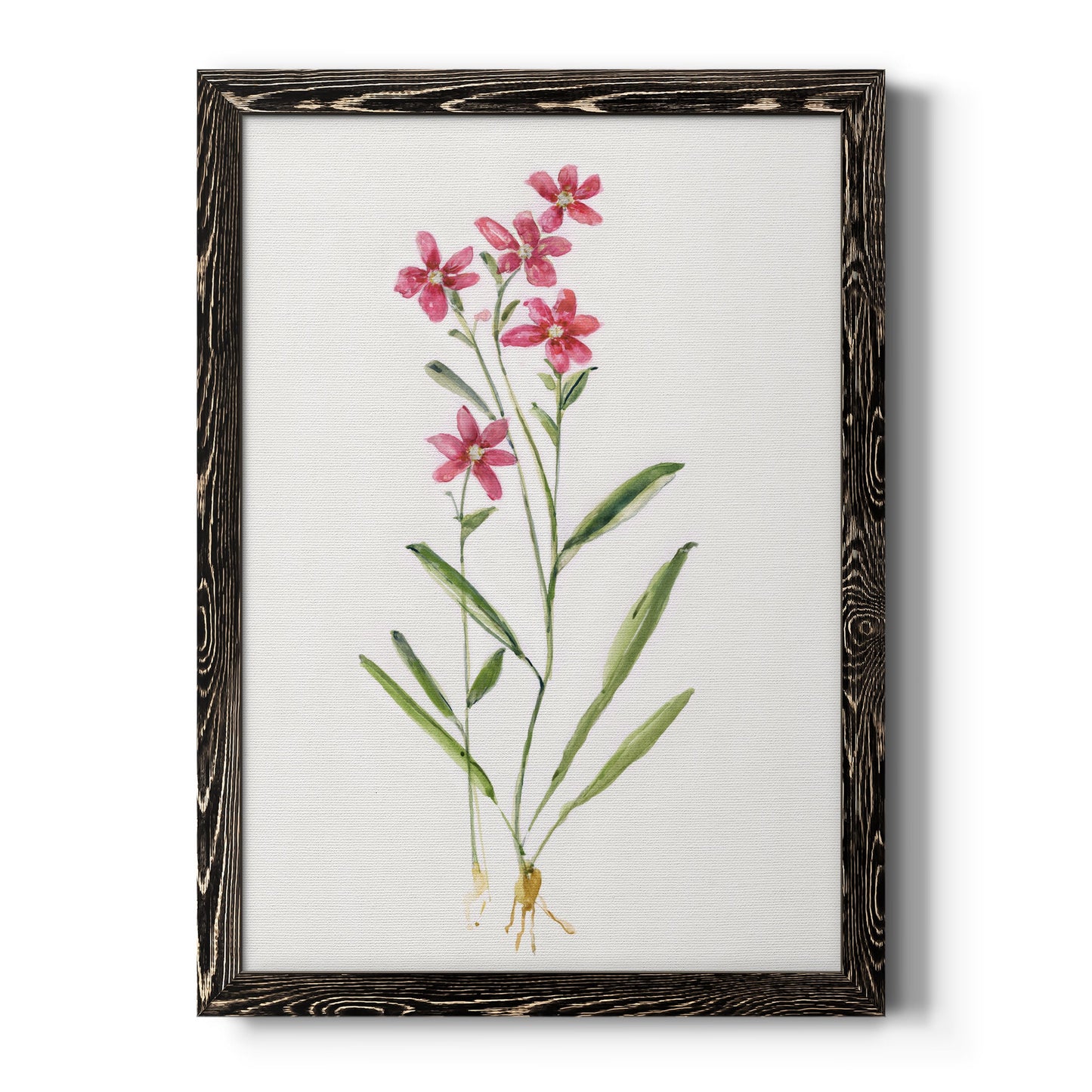 Delicate Pink II - Premium Canvas Framed in Barnwood - Ready to Hang