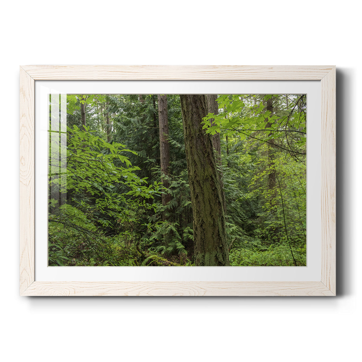 Calm of the Forest - Barnwood Framed Art Print