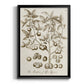 Sepia Botanical Journal II - Modern Framed Canvas Print