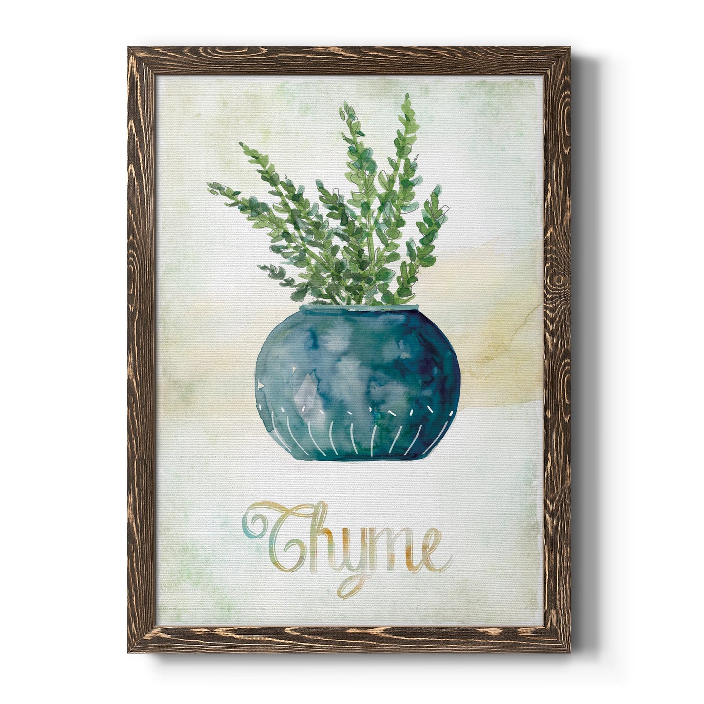 Potted Thyme - Barnwood Framed Canvas Print