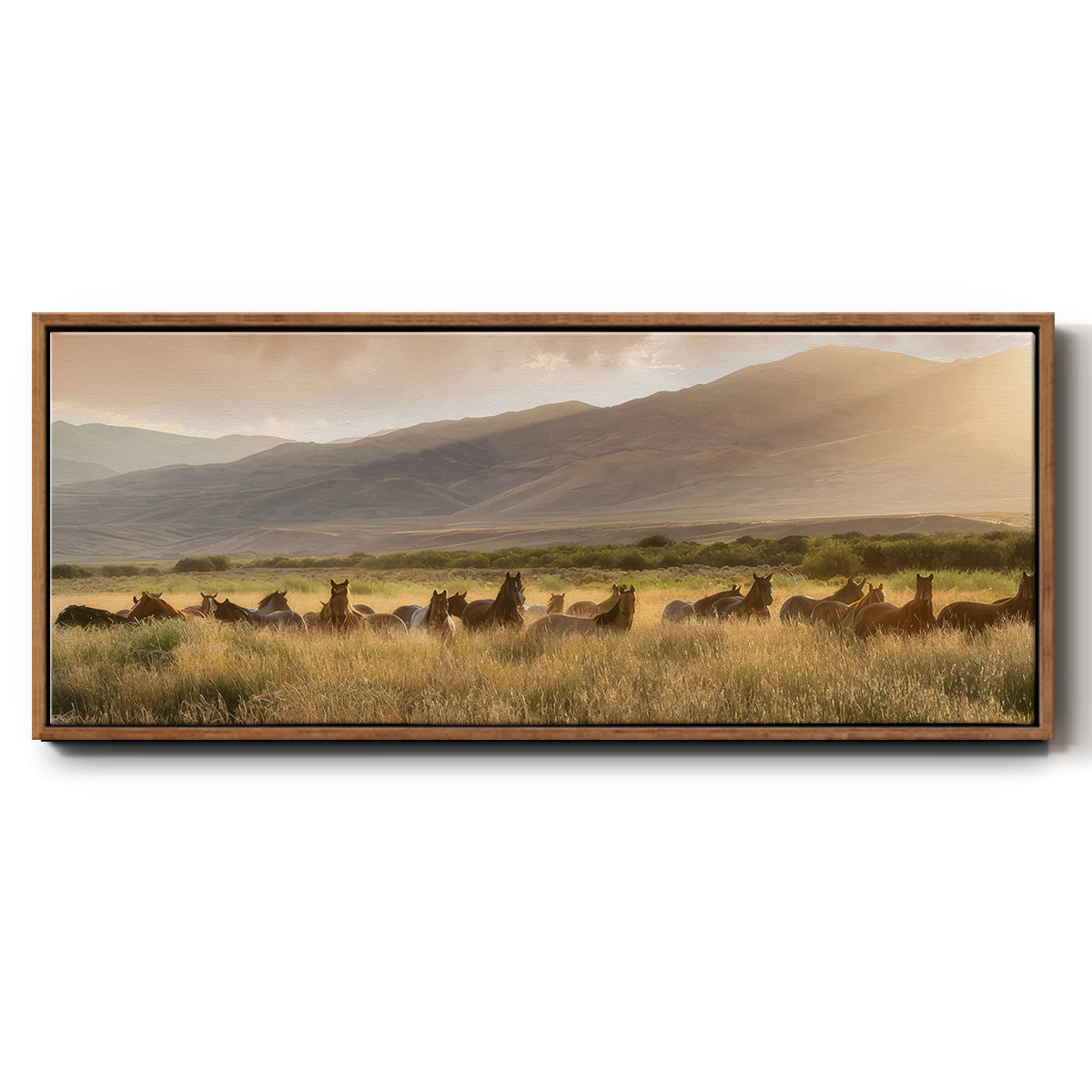 Wild and Free I - Floater Framed Canvas Print
