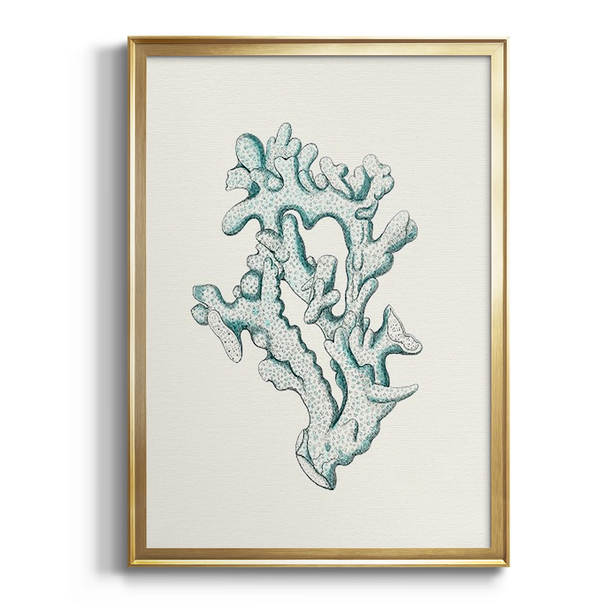 Antique Coastal Coral IV - Modern Framed Canvas Print