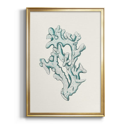 Antique Coastal Coral IV - Modern Framed Canvas Print