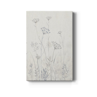 Neutral Queen Anne's Lace I - Canvas Art Print