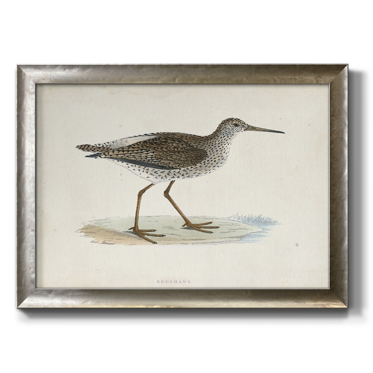 Morris Sandpipers V Premium Framed Canvas- Ready to Hang