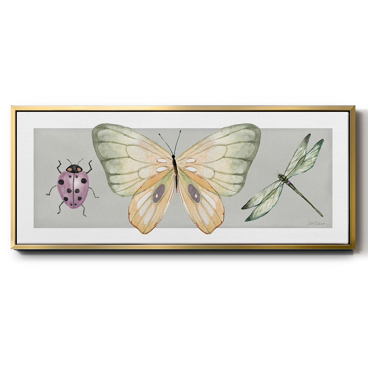 Pretty Insects I - Floater Framed Canvas Print