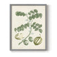 Buchoz Tropicals II - Restickable Framed Art Print