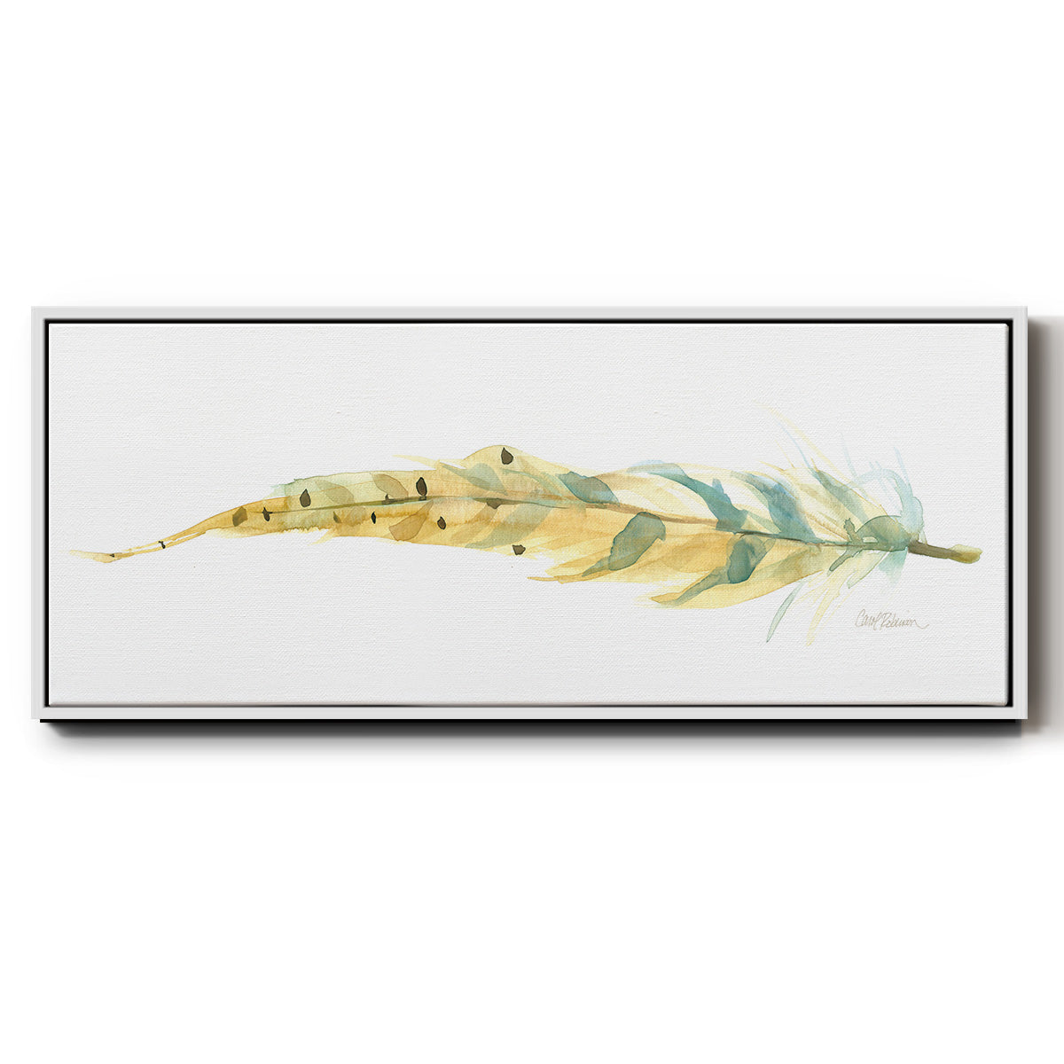Tail Feather III - Floater Framed Canvas Print