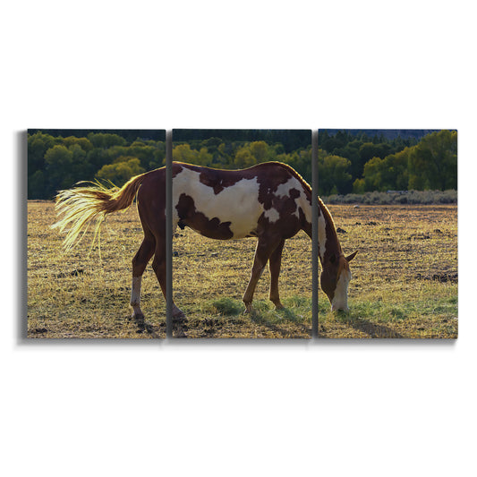 Three-panel canvas wall art featuring horses standing near farmhouse on white background.
