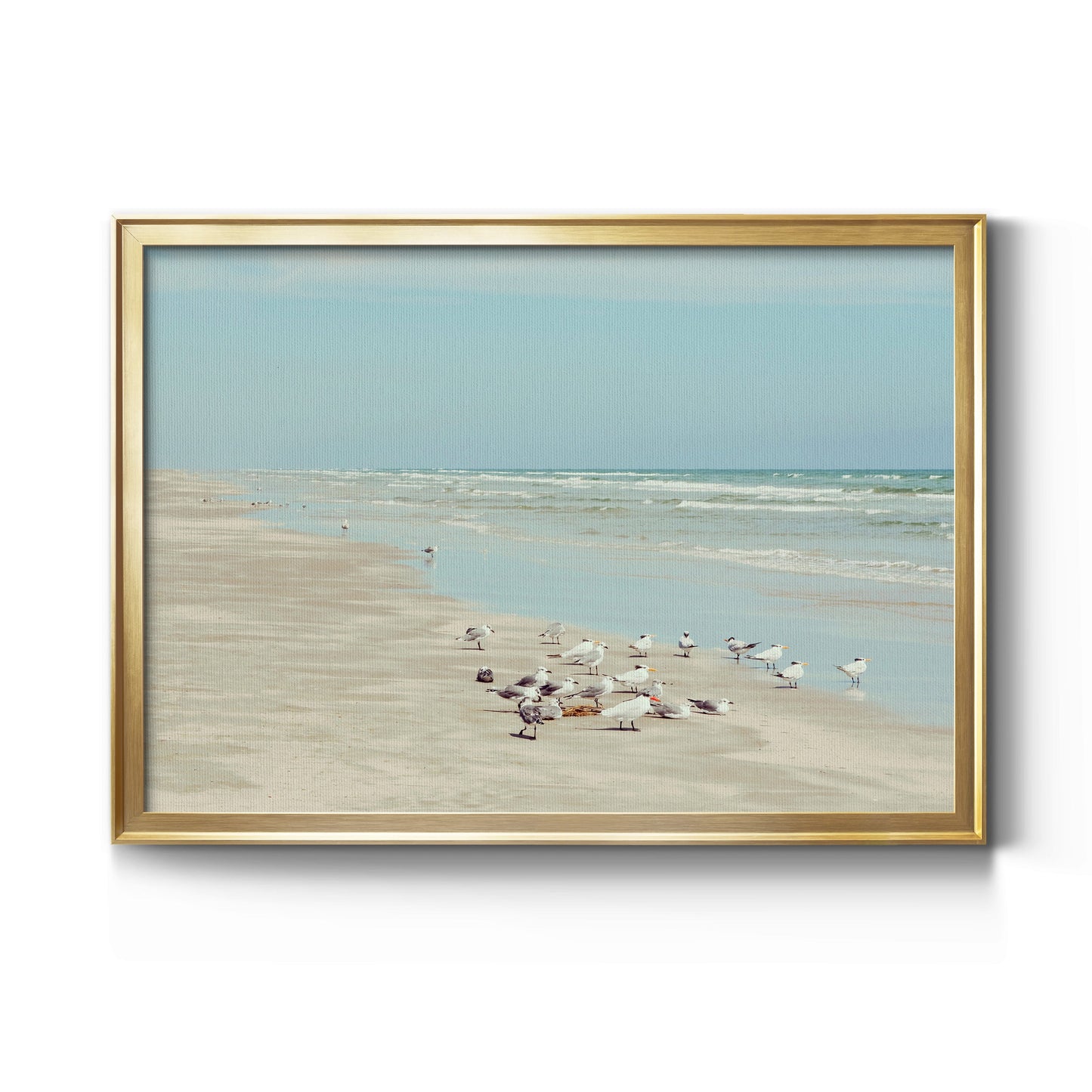 Padre Island Shore Birds Premium Classic Framed Canvas - Ready to Hang