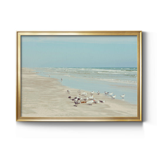 Padre Island Shore Birds - Modern Framed Canvas Print