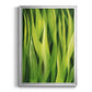 Blades of Grass I - Modern Framed Canvas Print