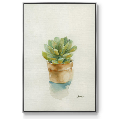 Succulent II - Floater Framed Canvas Print