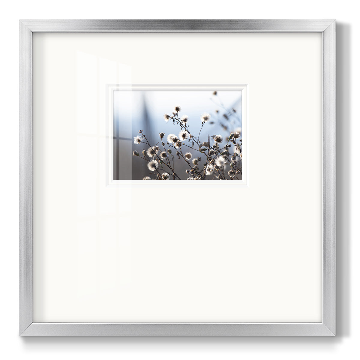 Spring Fluff - Double Matboard Framed Print