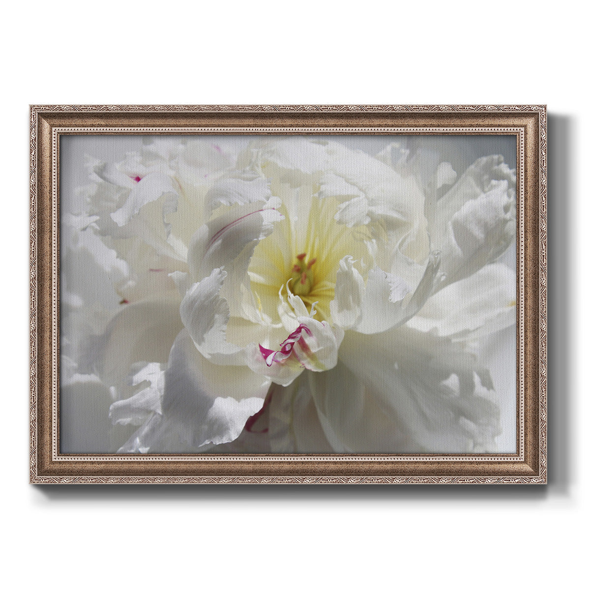 Breathless III Premium Framed Canvas- Ready to Hang