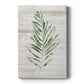 Tropic Frond II Premium Gallery Wrapped Canvas - Ready to Hang