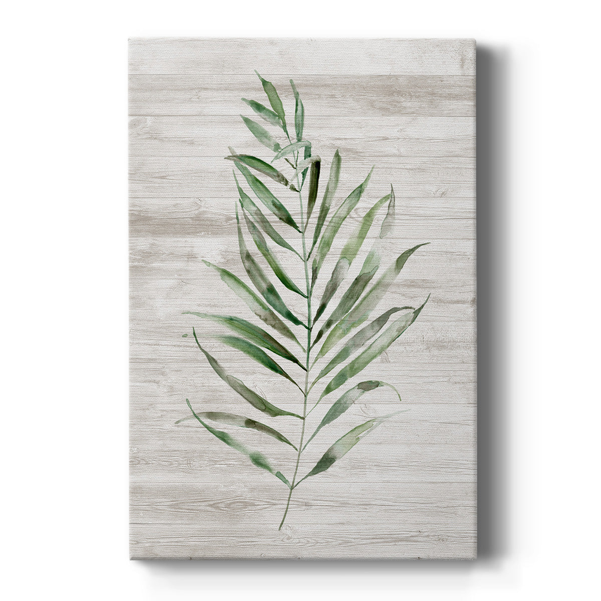 Tropic Frond II Premium Gallery Wrapped Canvas - Ready to Hang