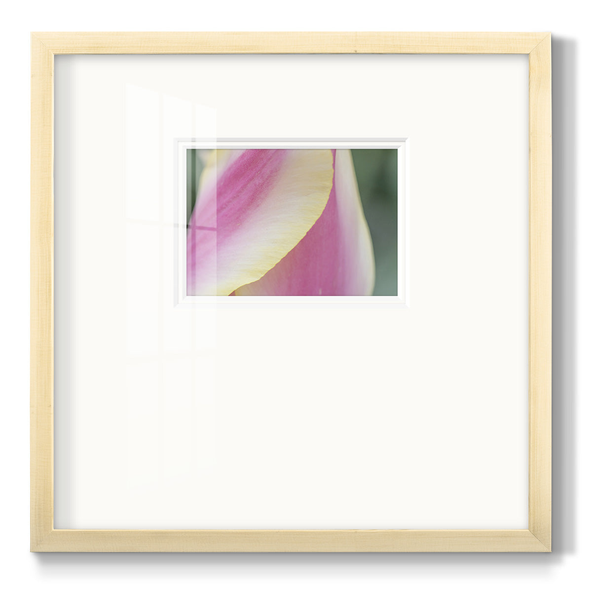 Delicate Premium Framed Print Double Matboard