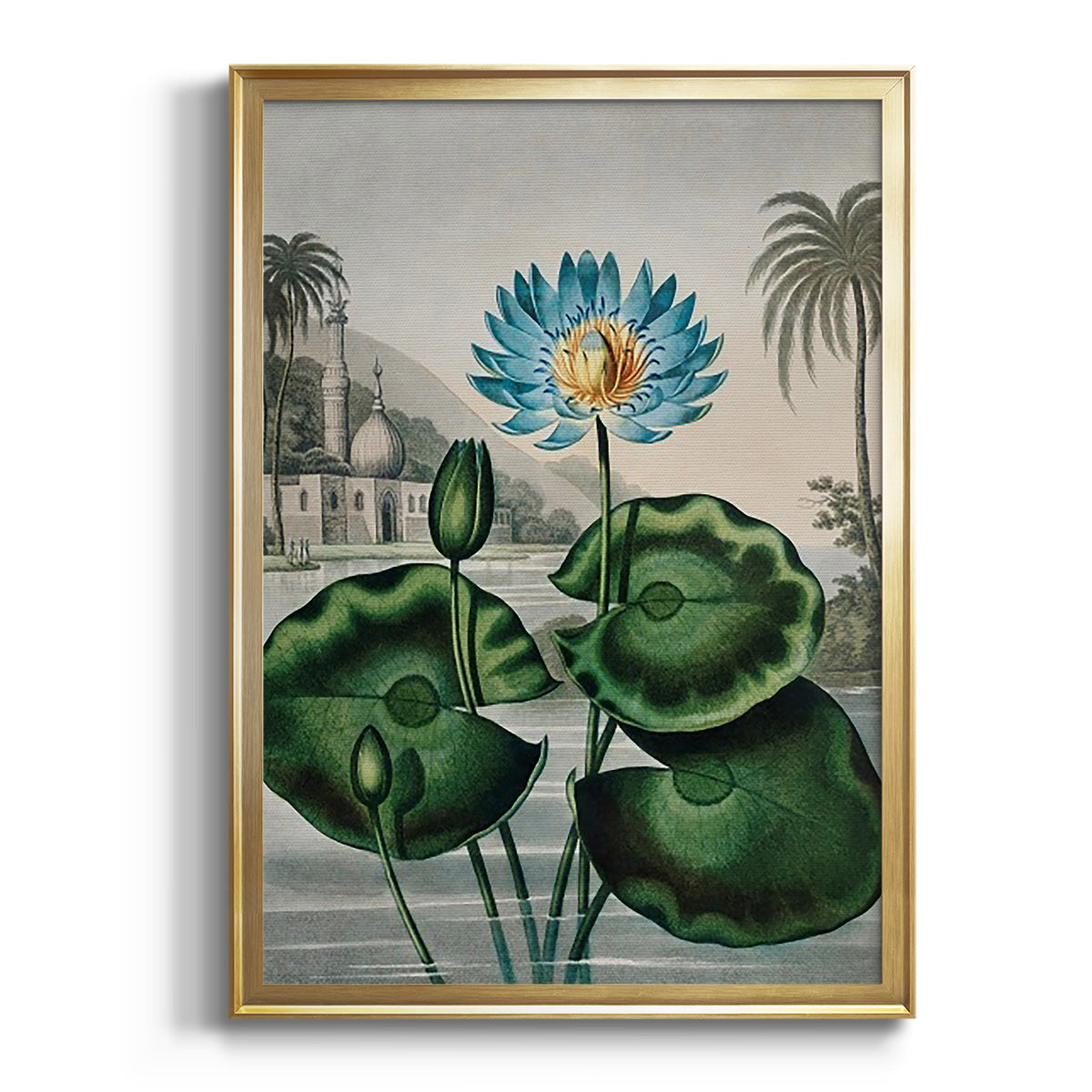 Temple of Flora IX - Modern Framed Canvas Print