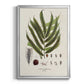 Botanical Society Ferns II - Modern Framed Canvas Print