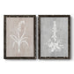Set of two black barnwood framed canvas prints featuring two rustic minimalist botanical prints featuring white botanical silhouettes on softly weathered neutral backgrounds.