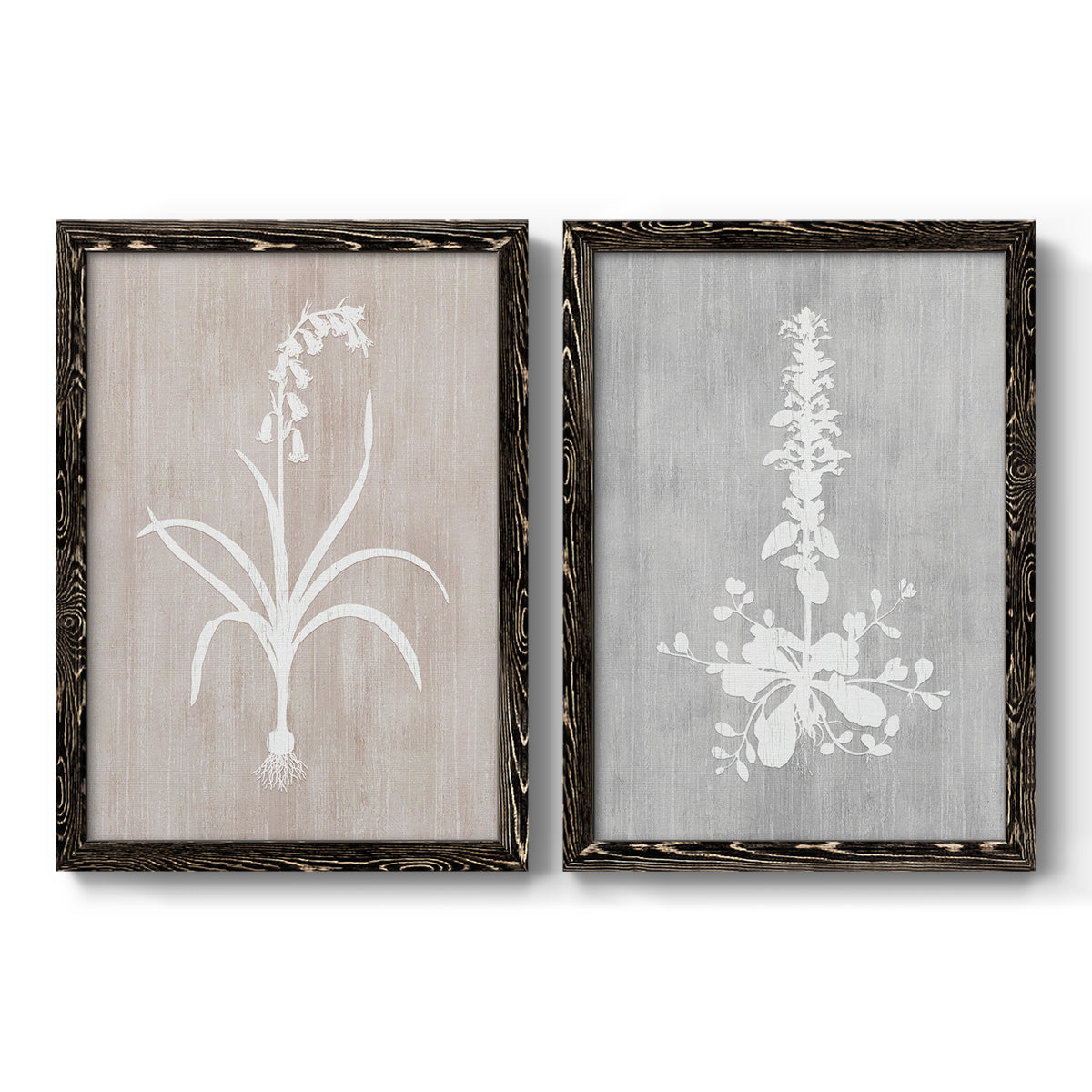 Set of two black barnwood framed canvas prints featuring two rustic minimalist botanical prints featuring white botanical silhouettes on softly weathered neutral backgrounds.