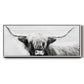 Highland Longhorn - Floater Framed Canvas Print