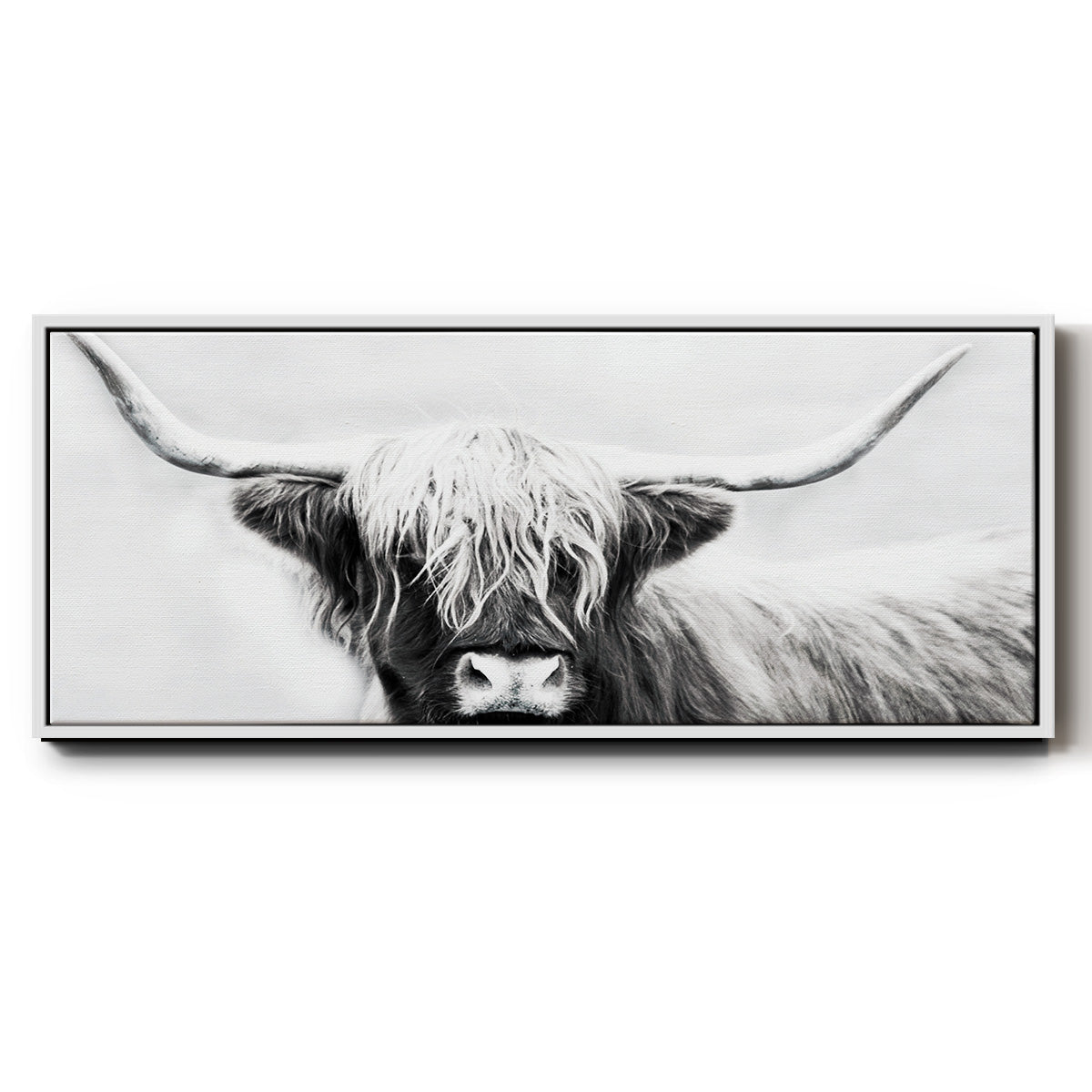 Highland Longhorn - Floater Framed Canvas Print