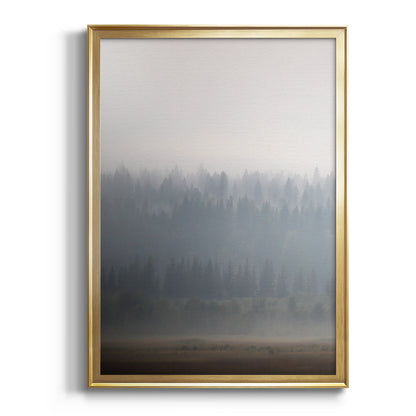 Morning Glow II - Modern Framed Canvas Print