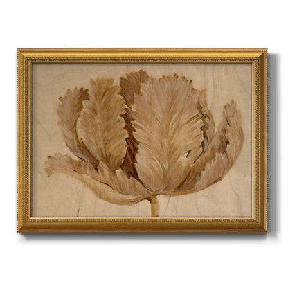 Monochrome sepia tulip flower printed on canvas in an ornate antique gold frame.