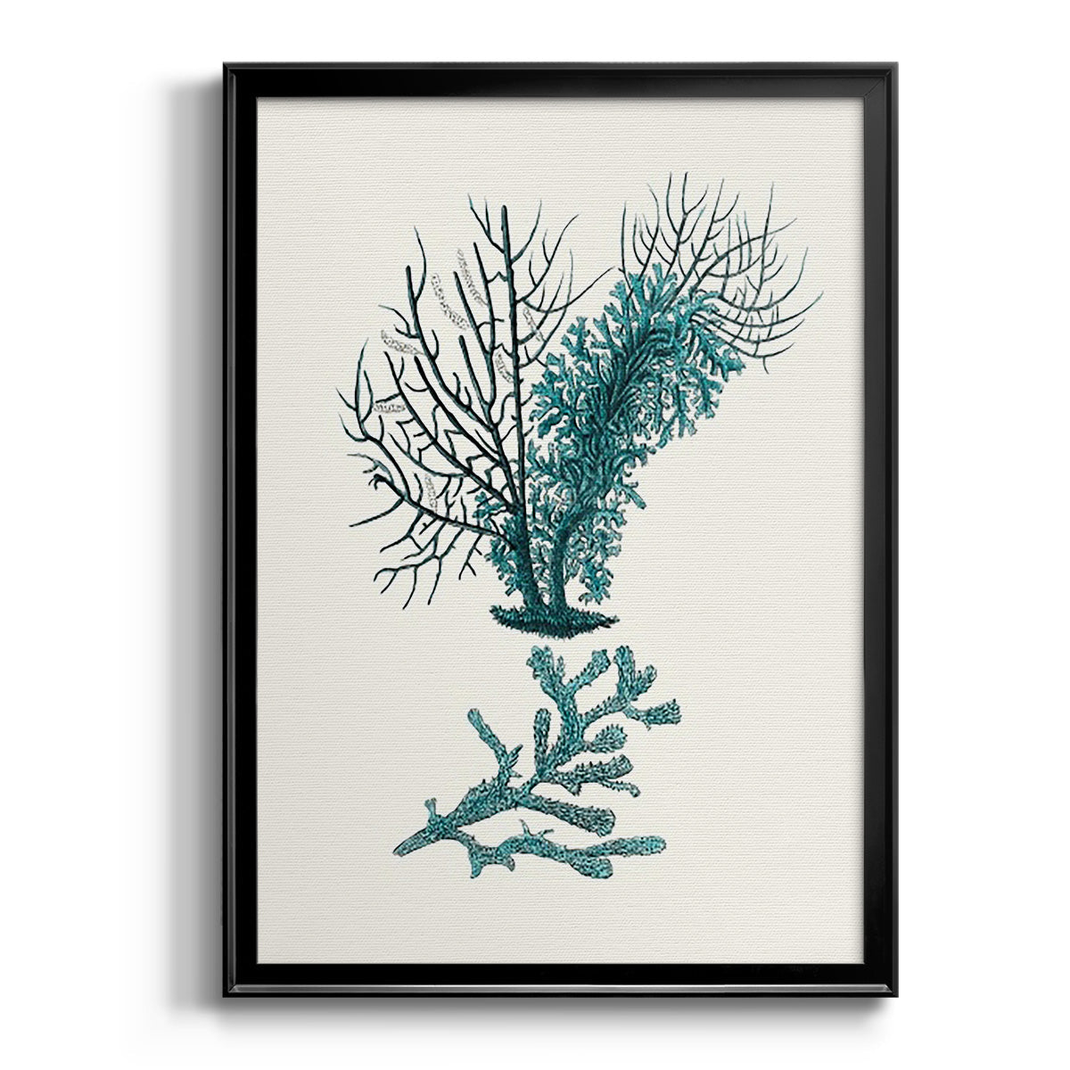 Antique Coastal Coral VI - Modern Framed Canvas Print