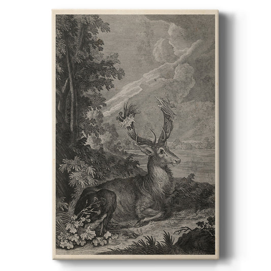 Woodland Deer III Premium Gallery Wrapped Canvas - Ready to Hang