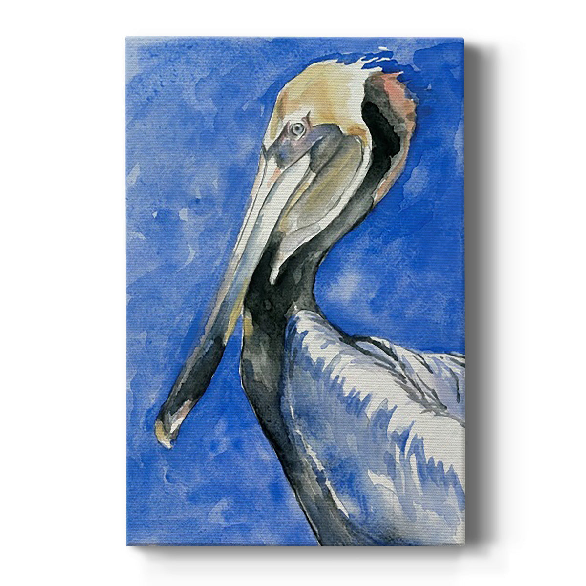 Pelican Pool II Premium Gallery Wrapped Canvas - Ready to Hang