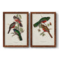 Elegant Trogons V - Premium Framed Canvas 2 Piece Set - Ready to Hang