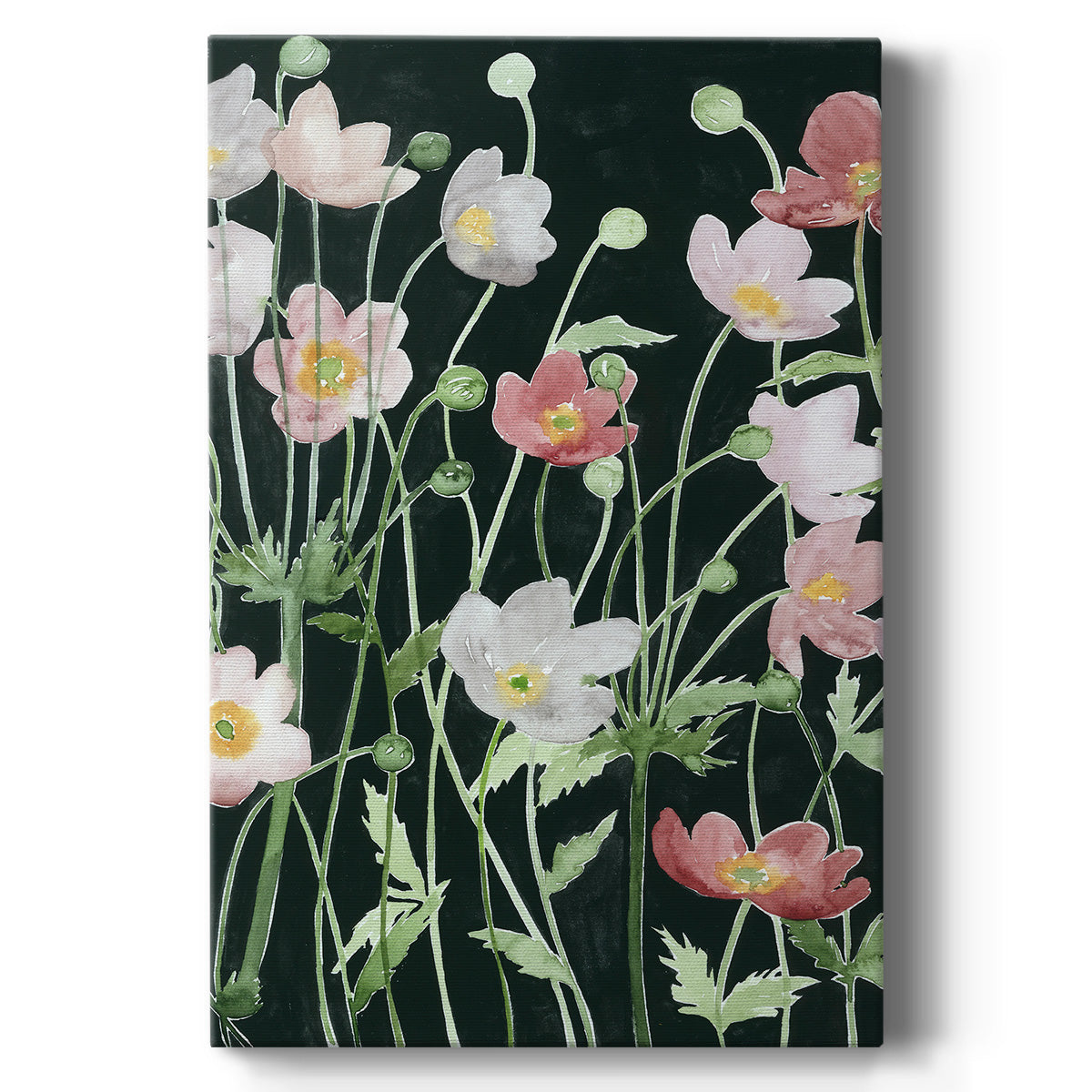 Anemone Dance I Premium Gallery Wrapped Canvas - Ready to Hang